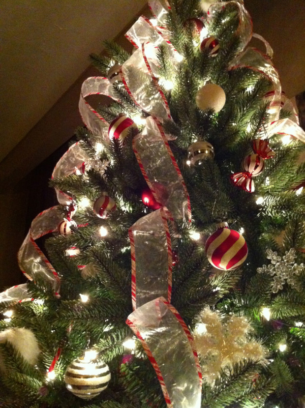 Christmas Tree Peek 2013